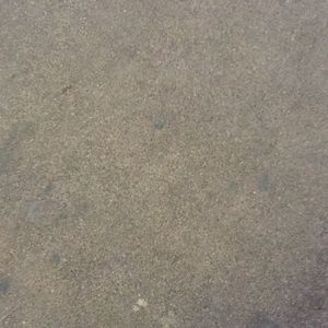 Meet your Posher, Javier